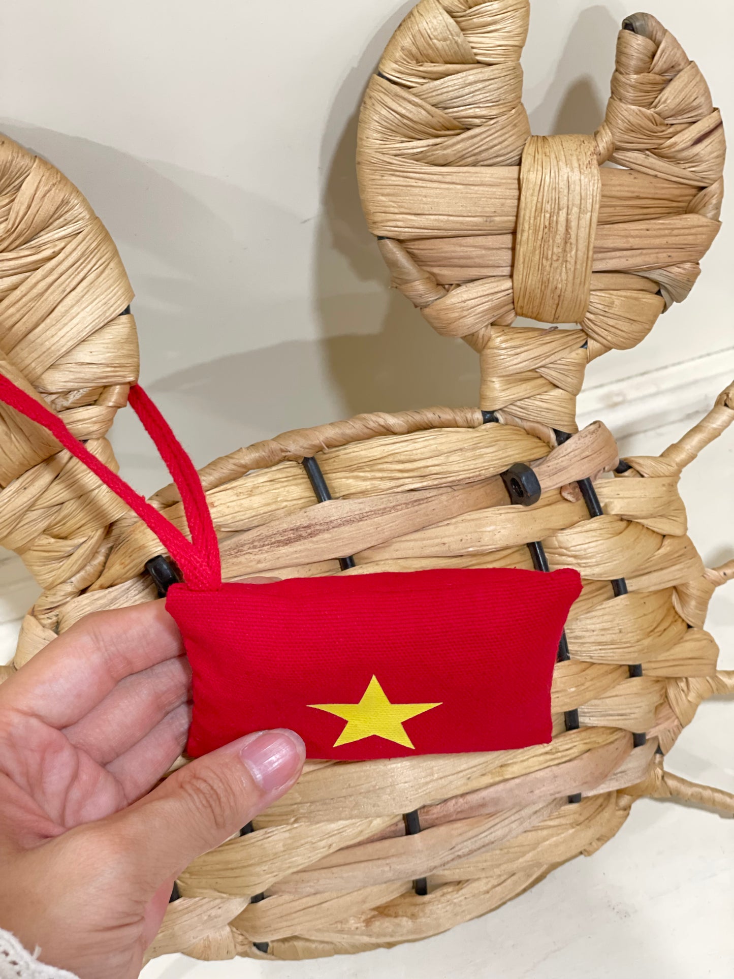 Charm lá cờ Việt Nam