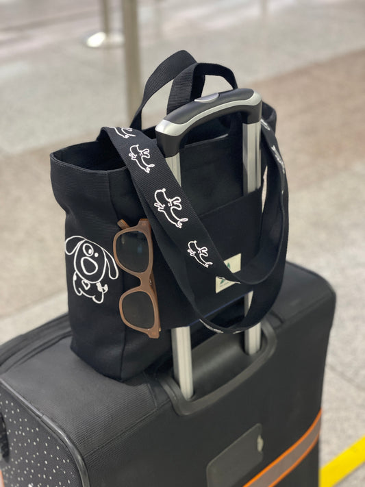 Be Sao traveling bag