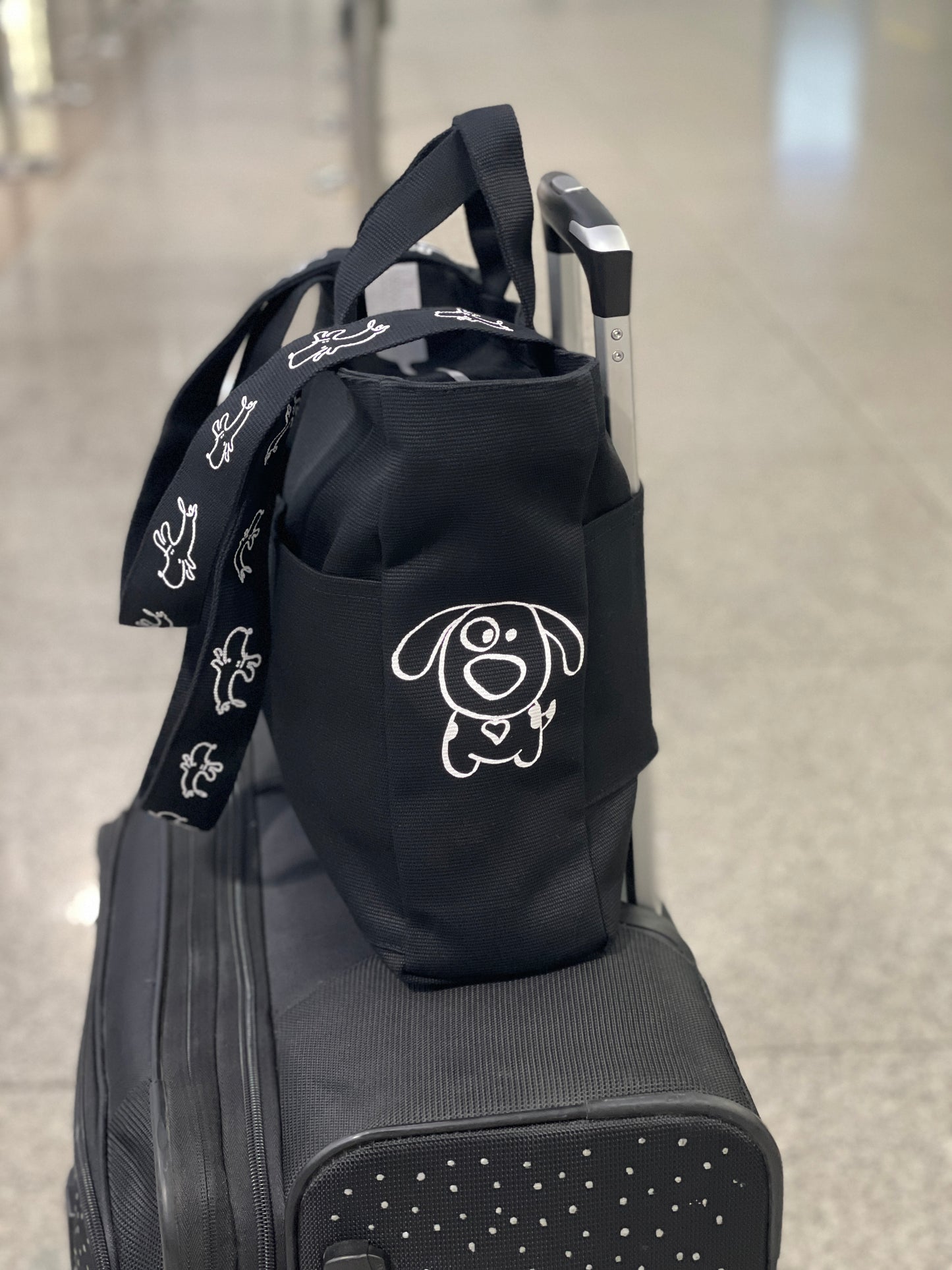 Be Sao traveling bag